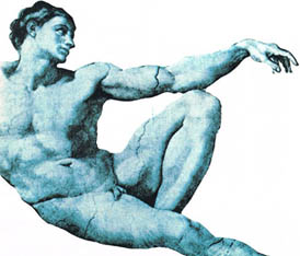 Art&iacute;culos de sexolog&iacute;a y sexualidad. Los ambiguos